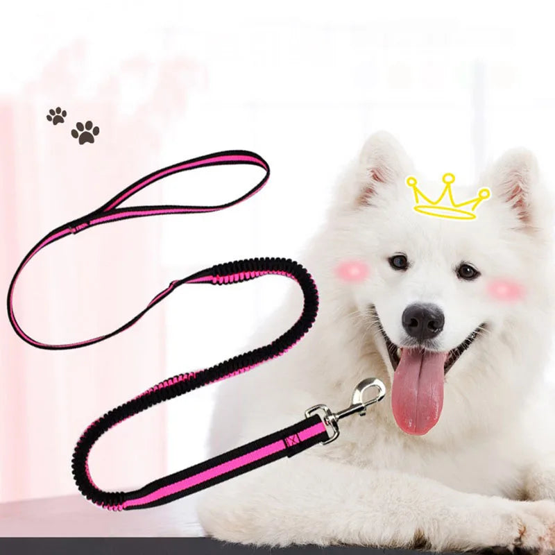 190cm Elastic Dog Leash Pet Cat Puppy Anti Dash Pull Dog Lead Leash Retractable Leash For Rabbit Hamster Small Pets Dropshipping PetsFani