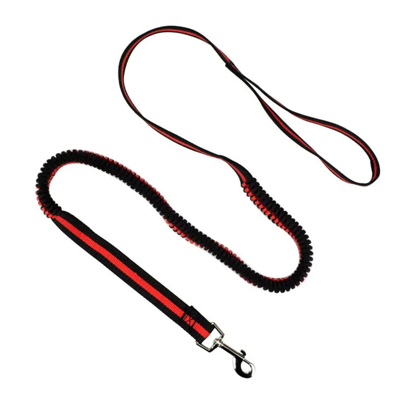 190cm Elastic Dog Leash Pet Cat Puppy Anti Dash Pull Dog Lead Leash Retractable Leash For Rabbit Hamster Small Pets Dropshipping PetsFani