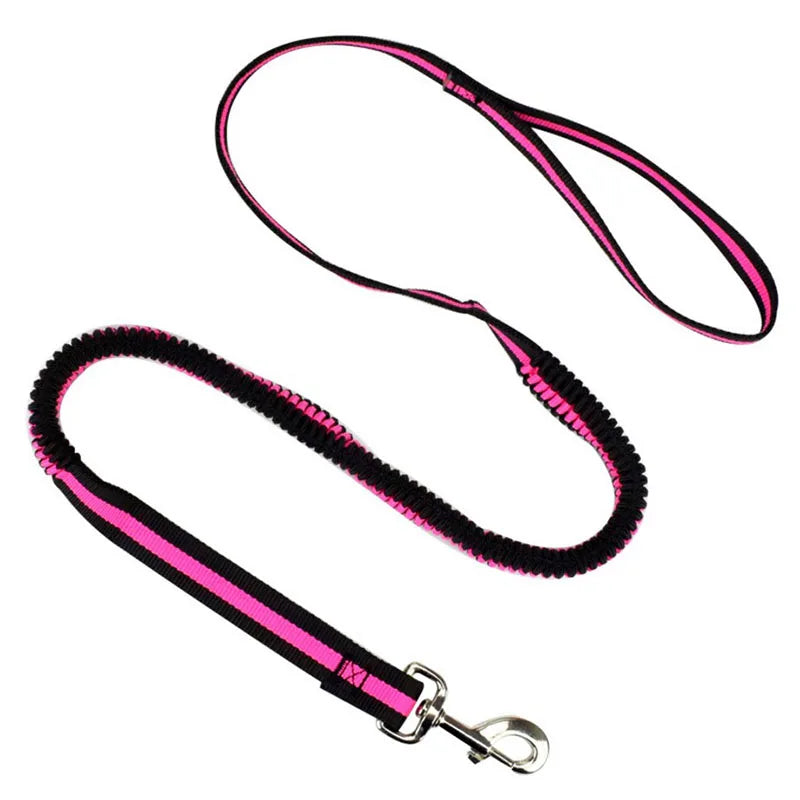 190cm Elastic Dog Leash Pet Cat Puppy Anti Dash Pull Dog Lead Leash Retractable Leash For Rabbit Hamster Small Pets Dropshipping PetsFani