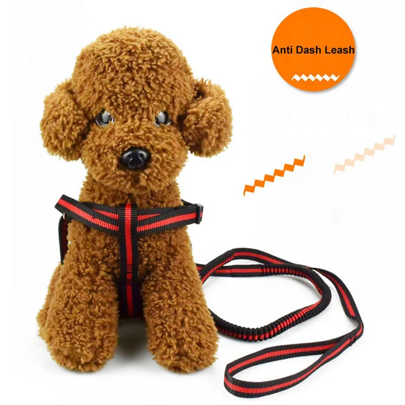 190cm Elastic Dog Leash Pet Cat Puppy Anti Dash Pull Dog Lead Leash Retractable Leash For Rabbit Hamster Small Pets Dropshipping PetsFani