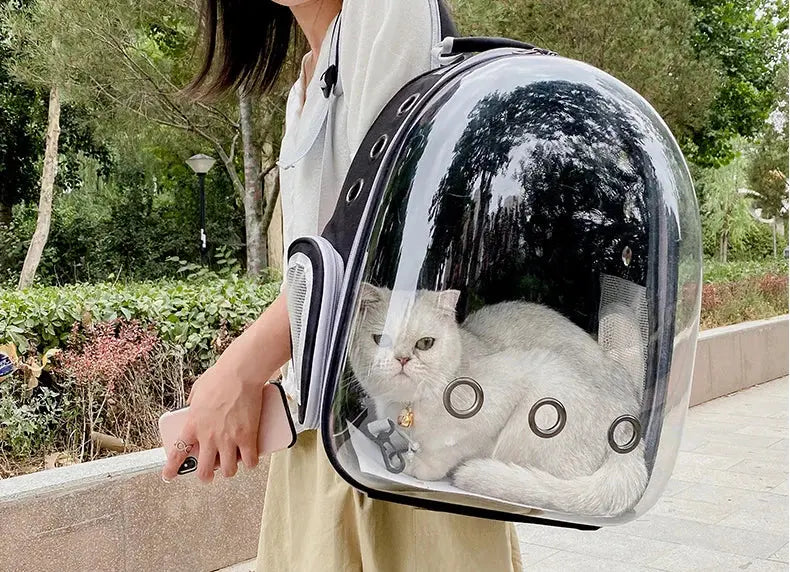 Pet Cat Carrying Bag Space Pet Backpacks Breathable Portable Transparent Backpack Puppy Dog Transport Carrier Space Capsule Bags PetsFani