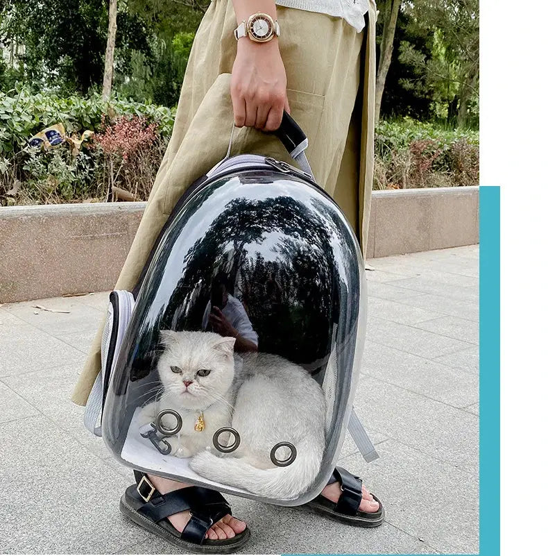 Pet Cat Carrying Bag Space Pet Backpacks Breathable Portable Transparent Backpack Puppy Dog Transport Carrier Space Capsule Bags PetsFani