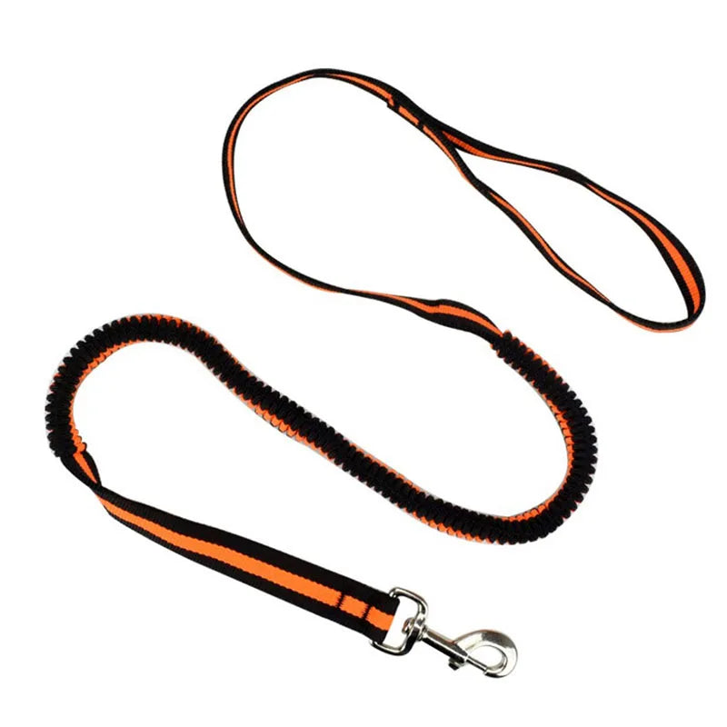 190cm Elastic Dog Leash Pet Cat Puppy Anti Dash Pull Dog Lead Leash Retractable Leash For Rabbit Hamster Small Pets Dropshipping PetsFani