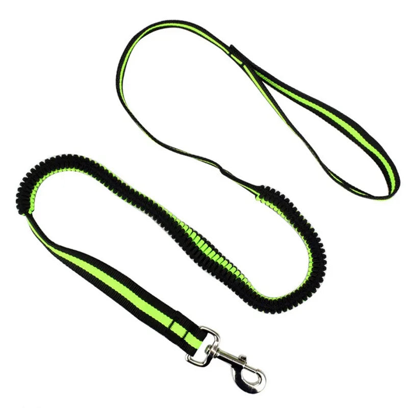 190cm Elastic Dog Leash Pet Cat Puppy Anti Dash Pull Dog Lead Leash Retractable Leash For Rabbit Hamster Small Pets Dropshipping PetsFani