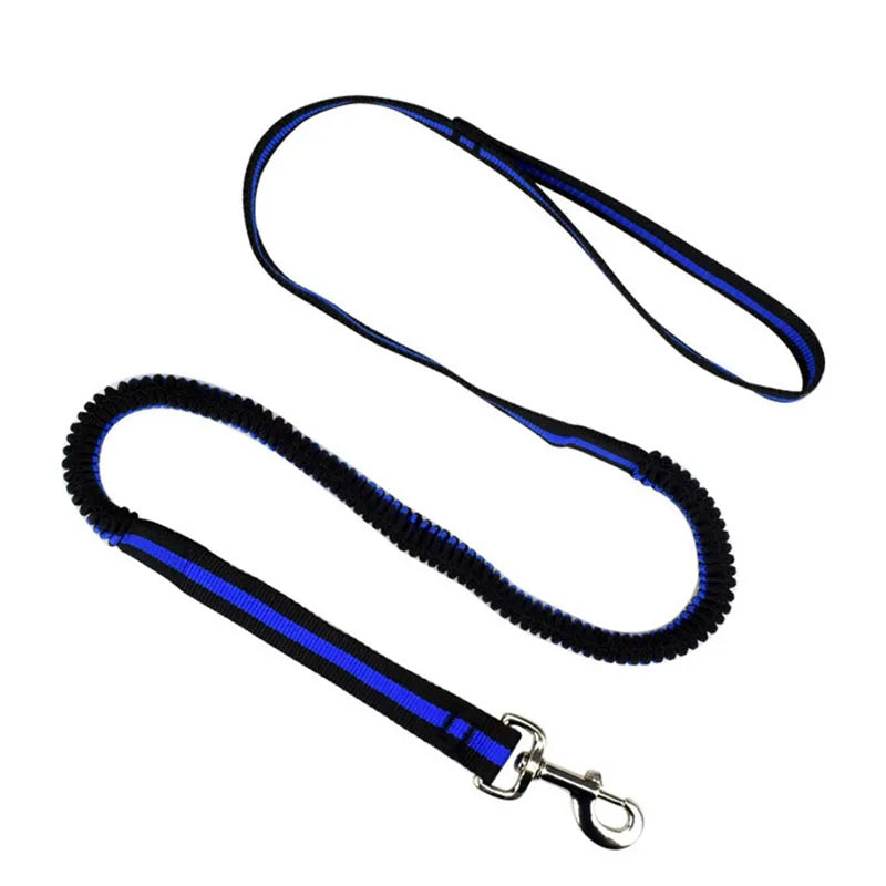 190cm Elastic Dog Leash Pet Cat Puppy Anti Dash Pull Dog Lead Leash Retractable Leash For Rabbit Hamster Small Pets Dropshipping PetsFani