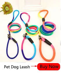 190cm Elastic Dog Leash Pet Cat Puppy Anti Dash Pull Dog Lead Leash Retractable Leash For Rabbit Hamster Small Pets Dropshipping PetsFani