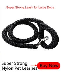 190cm Elastic Dog Leash Pet Cat Puppy Anti Dash Pull Dog Lead Leash Retractable Leash For Rabbit Hamster Small Pets Dropshipping PetsFani